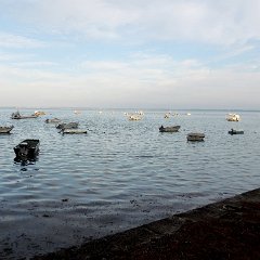 DSCN0645